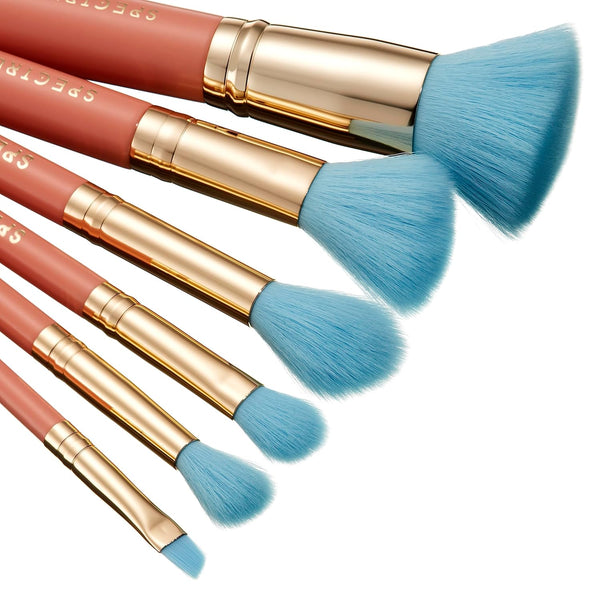 Dumbo 6 Piece Giftable Brush Set