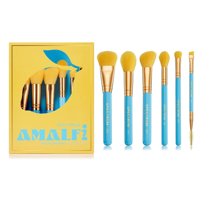 Amalfi 6 Piece Travel Book Makeup Brush Set