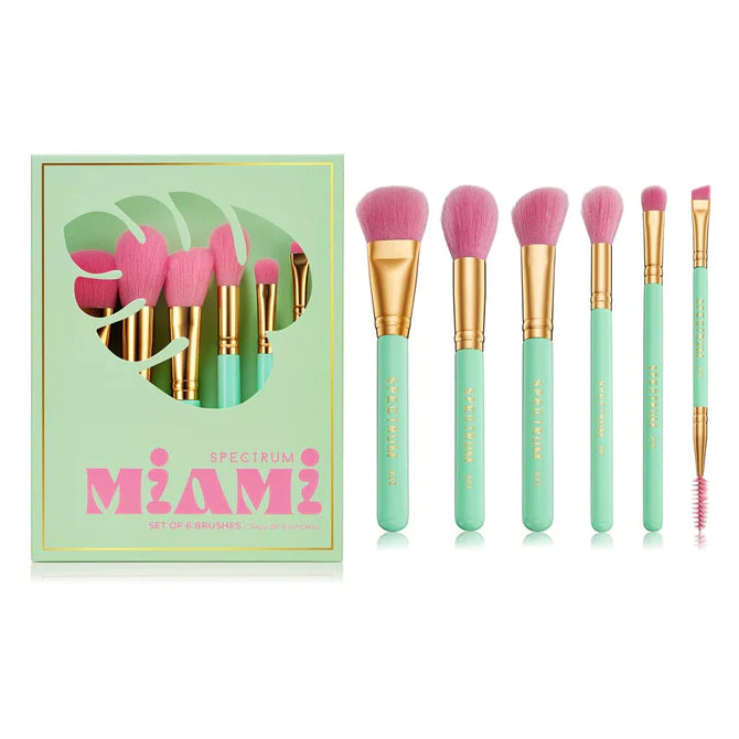 Miami 6 Piece Travel Book Makeup Brush Set