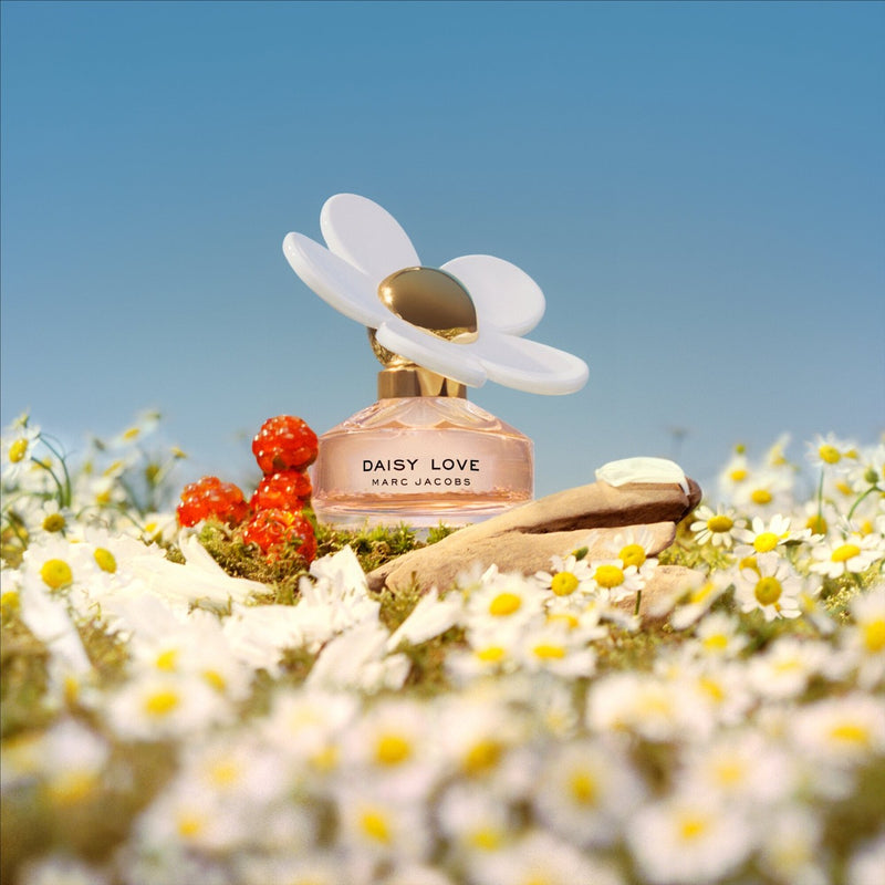 Mini Daisy Perfume Set 7 Colors Makeup mini-daisy-perfume-set-7-colors-makeup